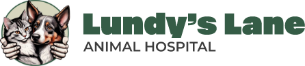 Lundy's Lane Animal Hospital